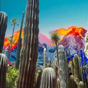 Meet your Posher, Noelle